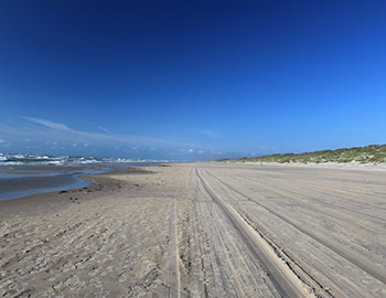 Saltum Strand mit Meer und Dünen