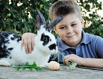 Junge und Kaninchen