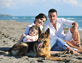 Nette Familie mit Schäferhund am Strand